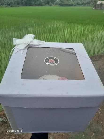 ভ্যানিলা স্পঞ্জ কেক – পার্ল গারল্যান্ড দুই স্তর 2