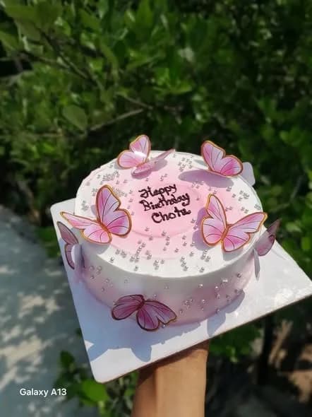 ভ্যানিলা স্পঞ্জ কেক – পিংক বাটারফ্লাই 4
